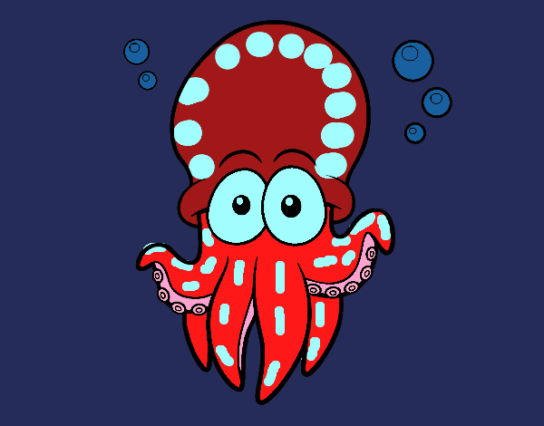 Pulpo rojo