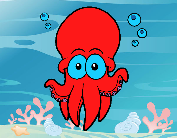 Pulpo rojo