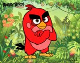 Red de Angry Birds