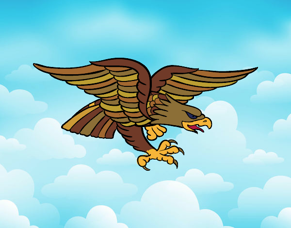 aguila