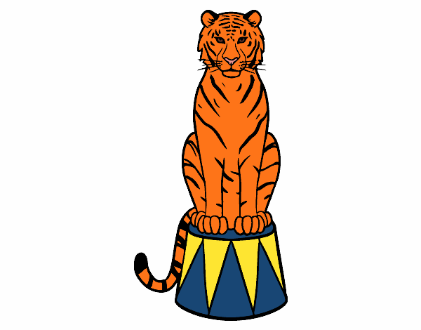 Tigre de circo