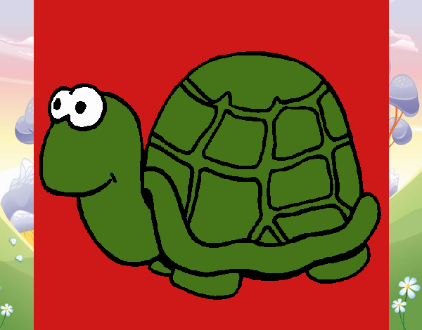 Tortuga 1