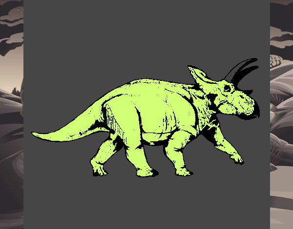 Triceratops 1