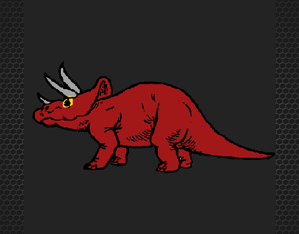 Triceratops