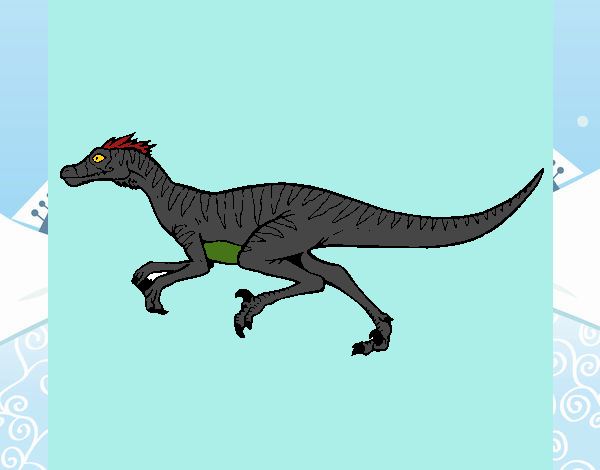 Velociraptor