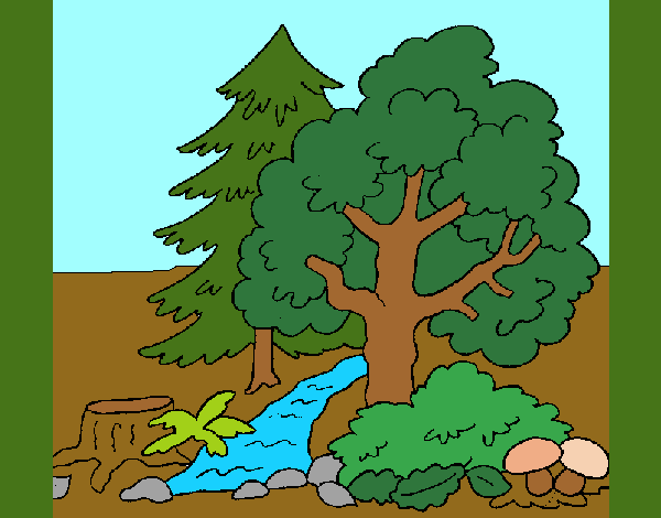 Dibujo Bosque 1 pintado por xavi-7