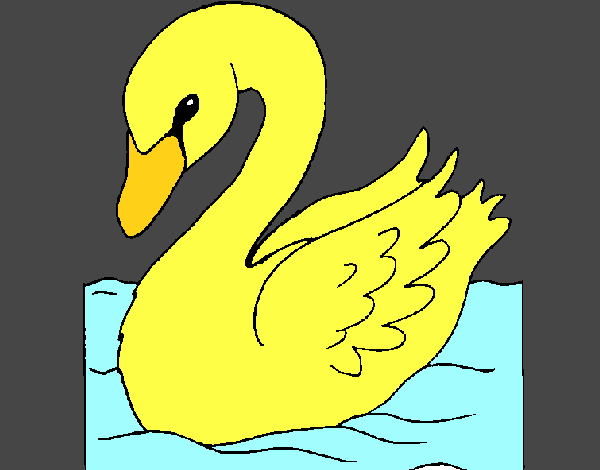 Cisne