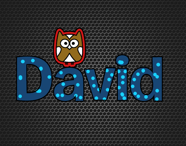 david