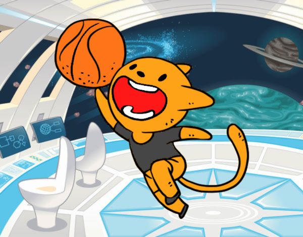 Gato jugando a baloncesto