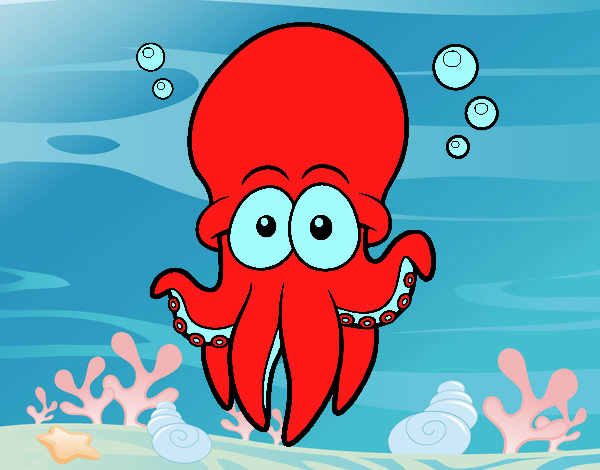 Pulpo rojo