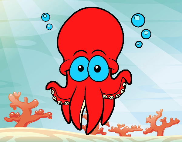 Pulpo rojo