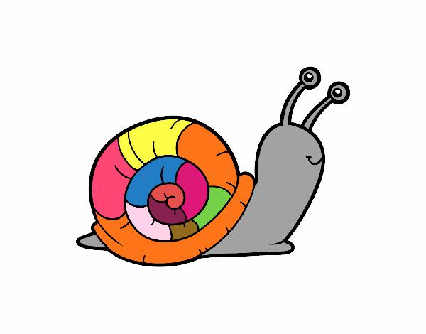 El caracol