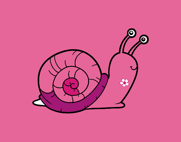 El caracol