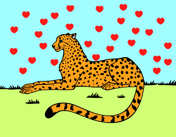 el leopardo lensondo