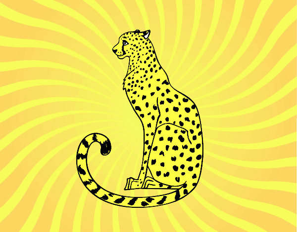 el leopardo