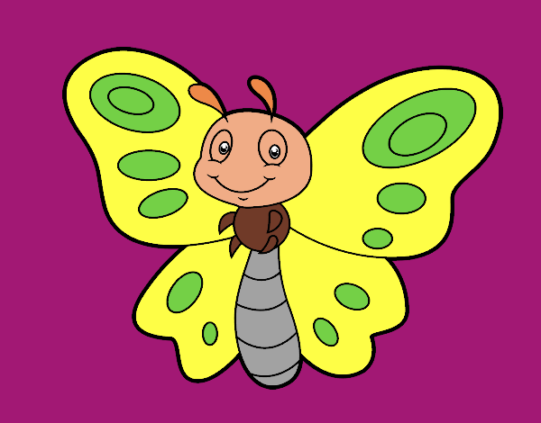 Mariposa fantasía