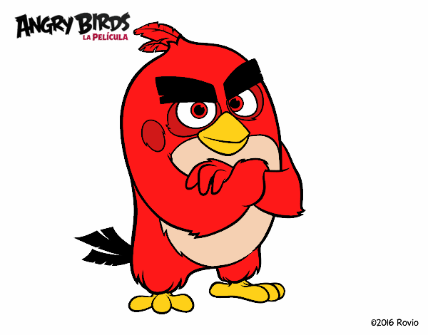 Red de Angry Birds