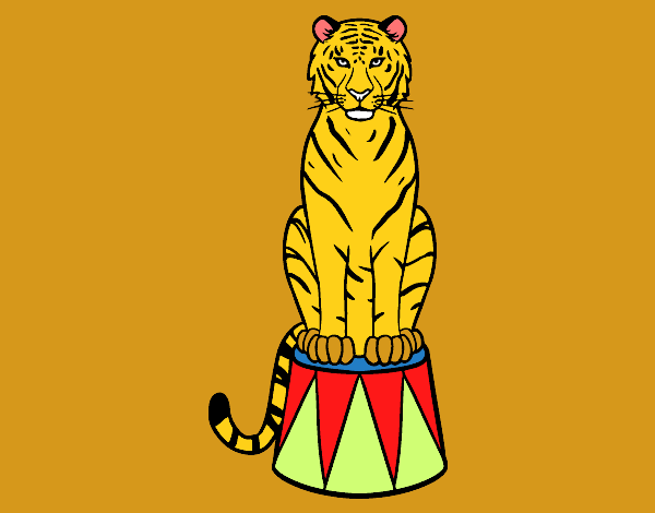 Tigre de circo