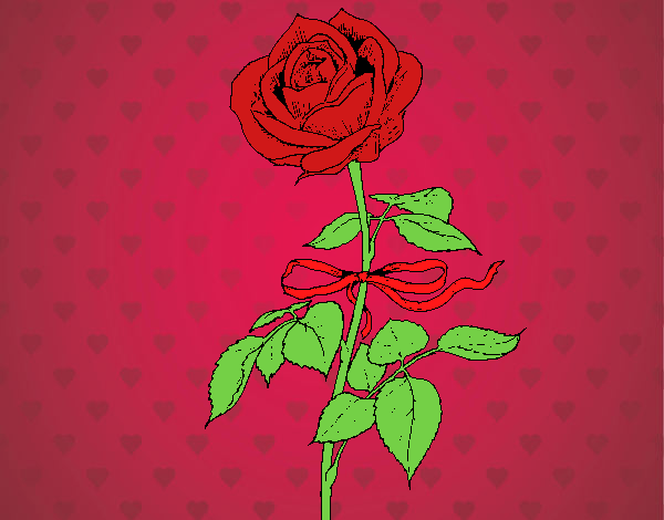 La rosa romántica 