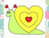 Caracol corazón