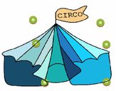 Circo