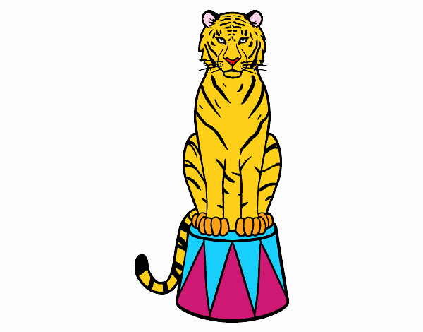 Tigre de circo