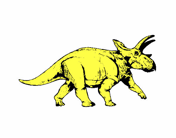 Triceratops 1