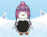 Bebé pingüino con gorrito