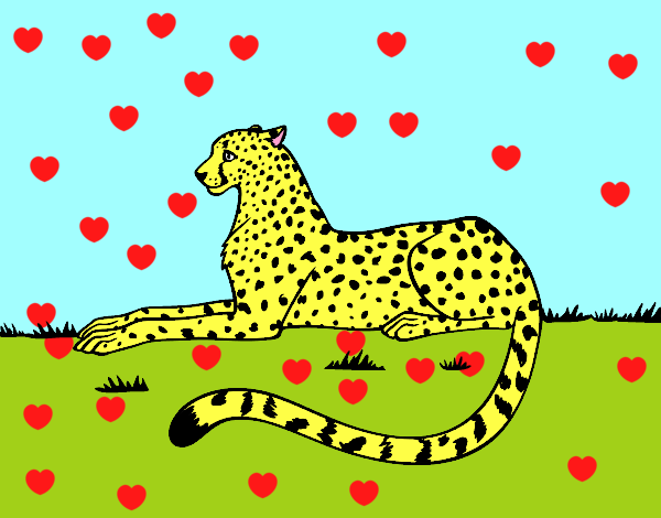 gueopardo 