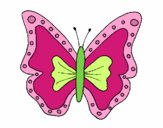 Mariposa 4a