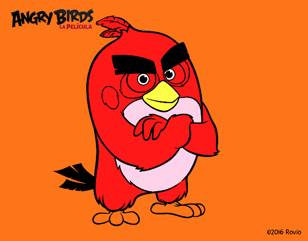 Red de Angry Birds