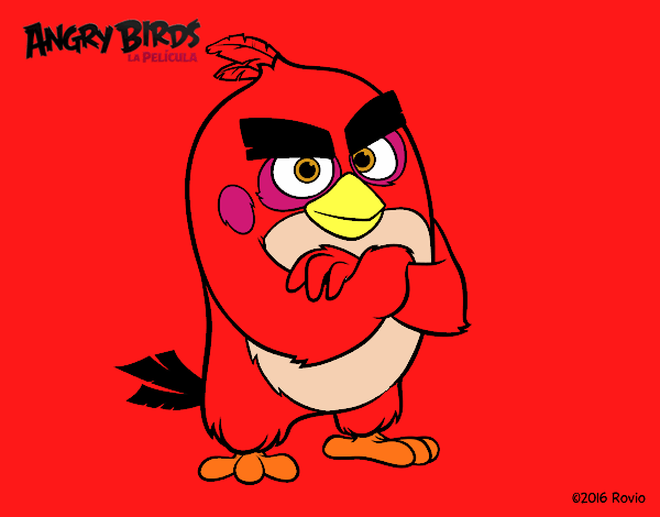 Red de Angry Birds