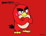 Red de Angry Birds