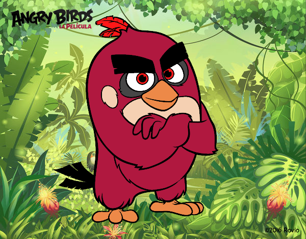 Red de Angry Birds