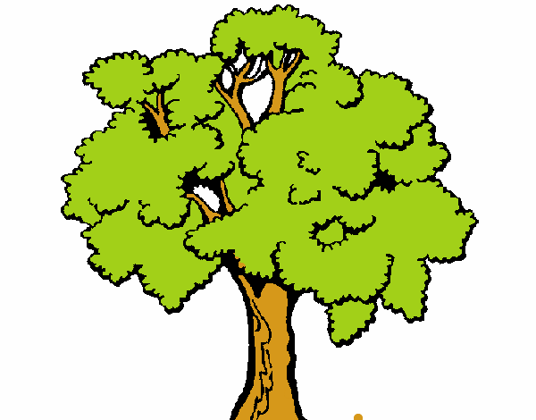 Árbol 1