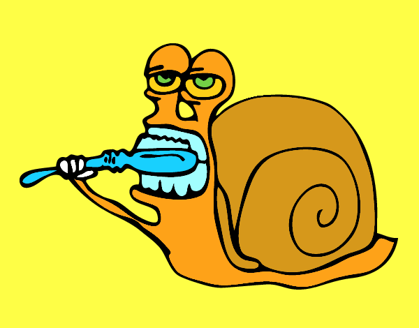 Caracol limpio