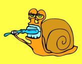 Caracol limpio