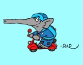 Elefante en moto