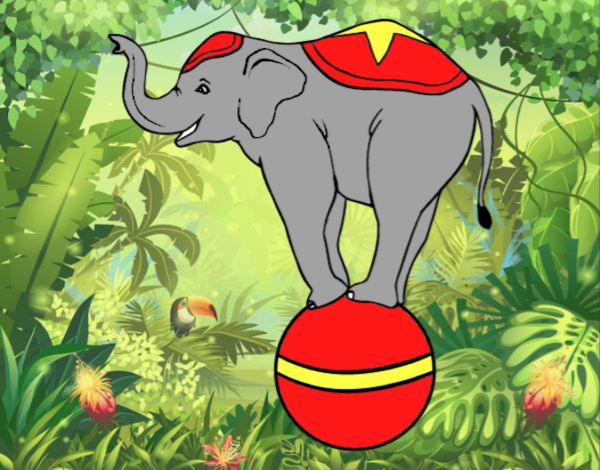 Elefante equilibrista