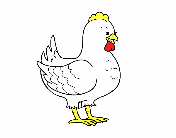 Gallina de una granja