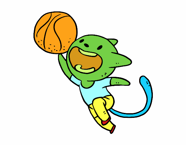 Gato jugando a baloncesto