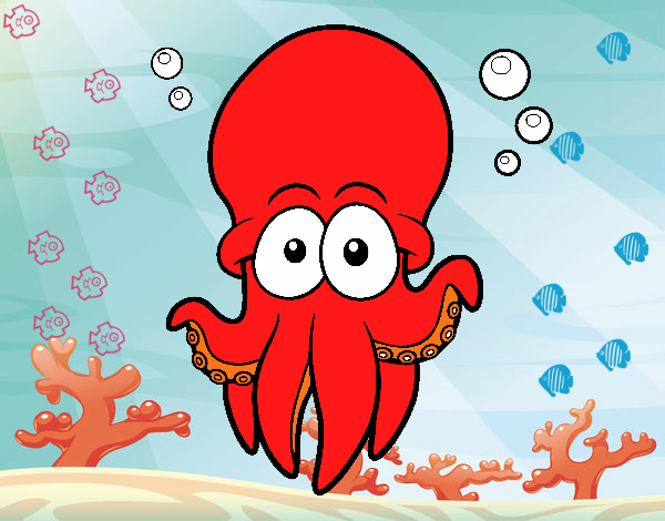 Pulpo rojo