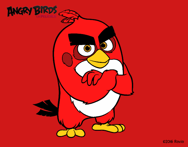 Red de Angry Birds