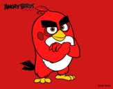 Red de Angry Birds