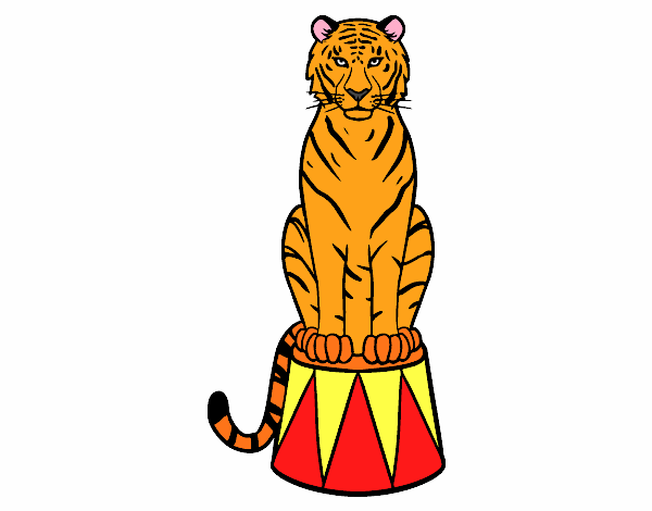 Tigre de circo