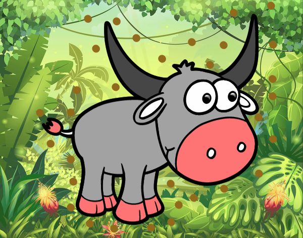 Torito