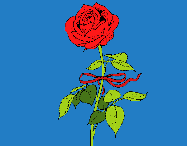 Una rosa