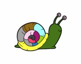 El caracol