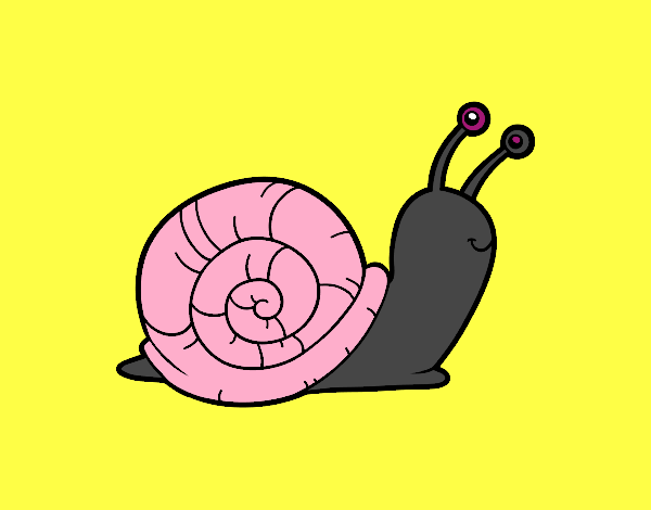 El caracol