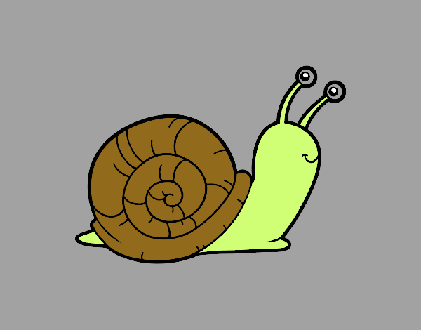 El caracol